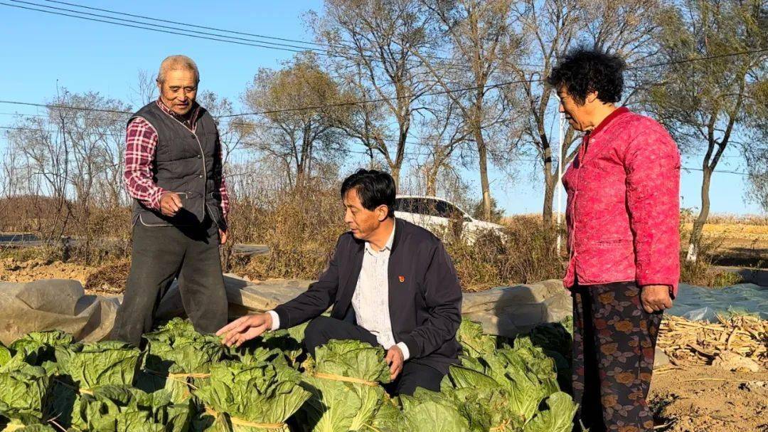 大连市"清风干部"风采 | 履职在黄海之滨——庄河市黑岛镇大于屯村党