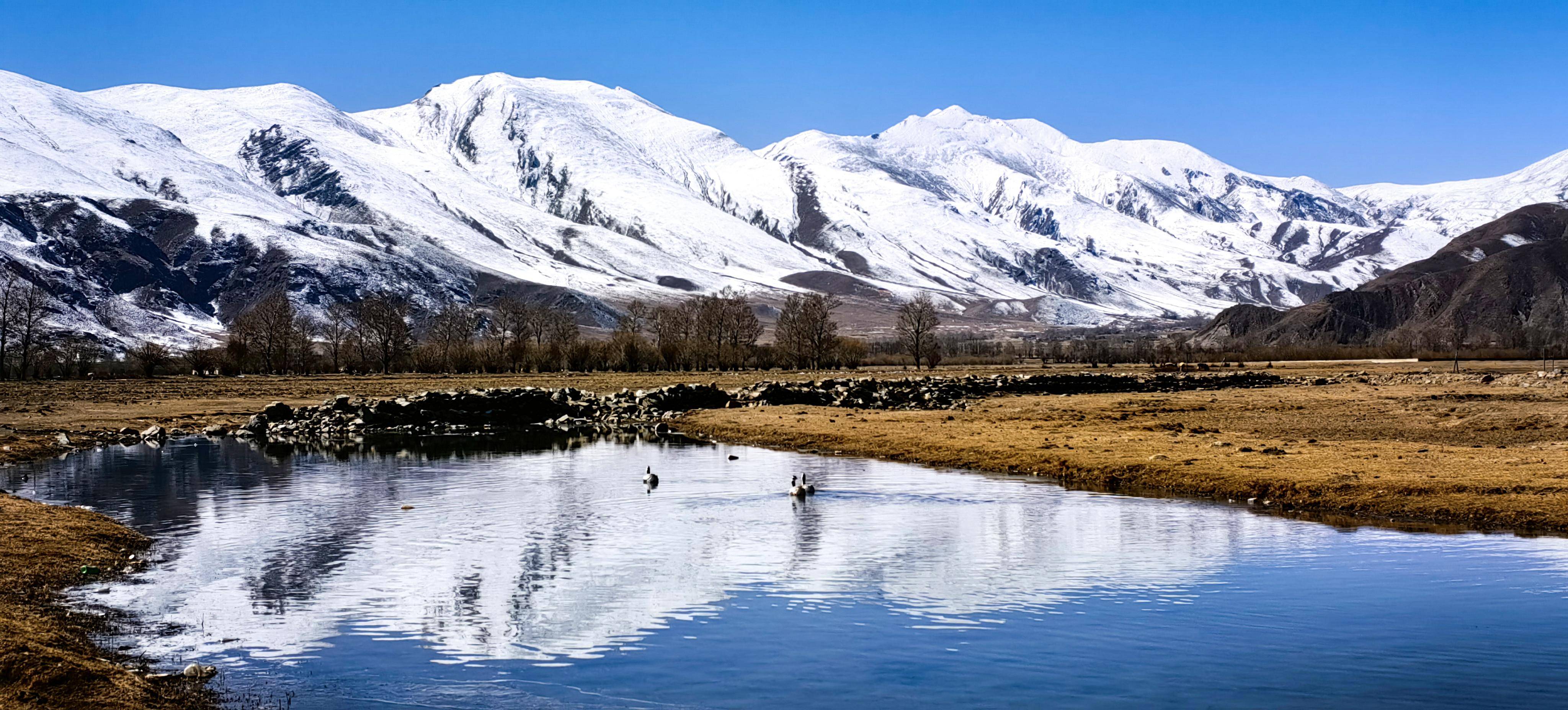 (新华全媒 )雪落群山壮美 鸟舞河谷翩跹_林周县_拉萨市_黑颈鹤