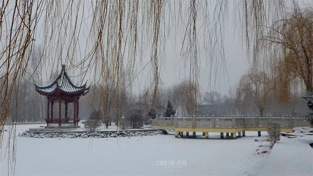 三月的雪花能够有多都雅