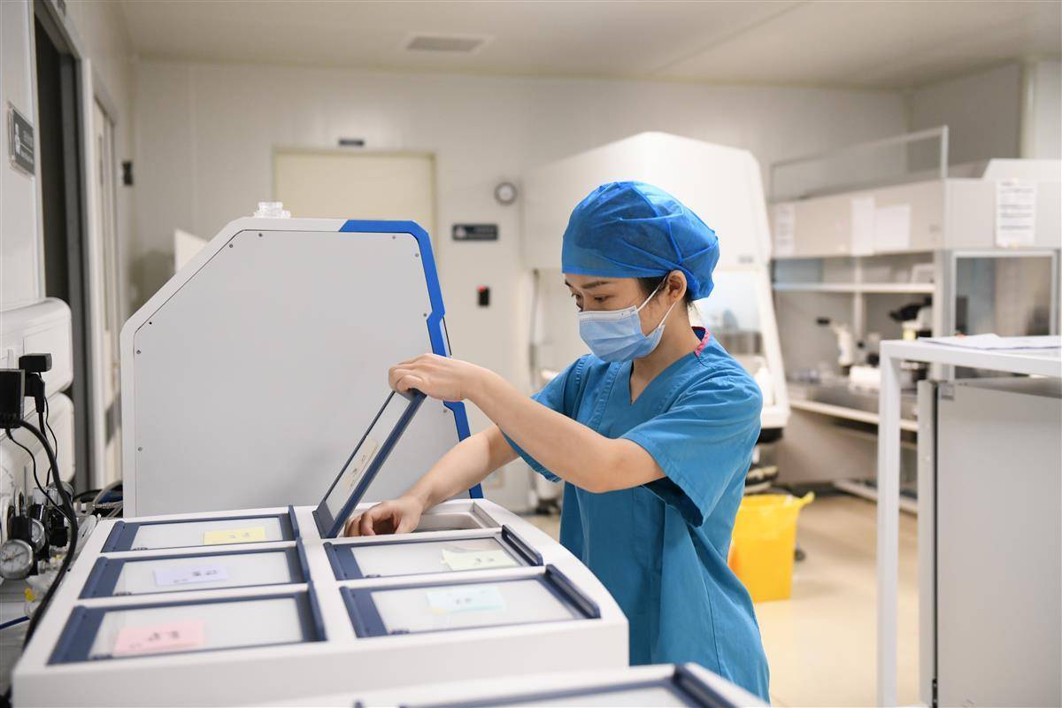 "唤醒"13年前的冷冻胚胎,相差一轮的双胞胎兄弟"都属兔"_唐女士