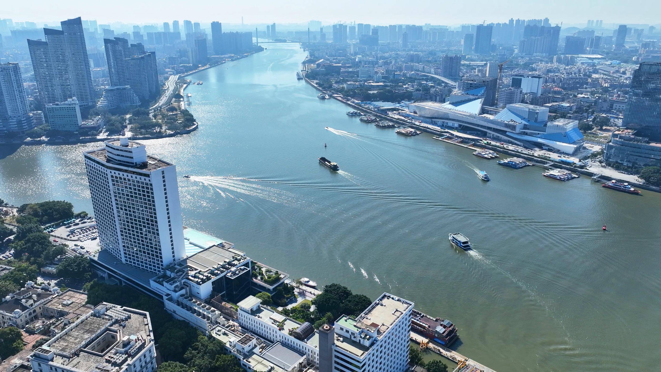 广州荔湾聚力"三大平台"建设,高质量发展老城新经济_荔湾区_白鹅_项目