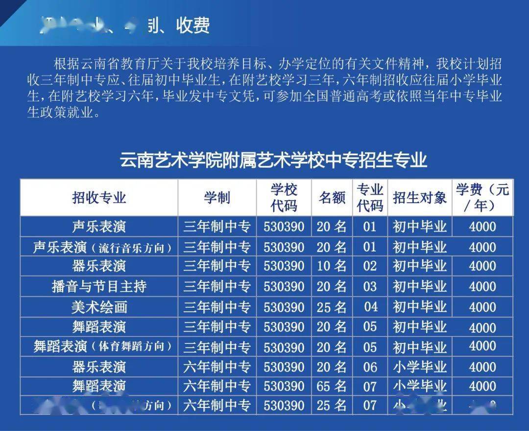 北京舞蹈学院招生简章_北京舞蹈学院招生简章_北京舞蹈学院舞蹈学招生