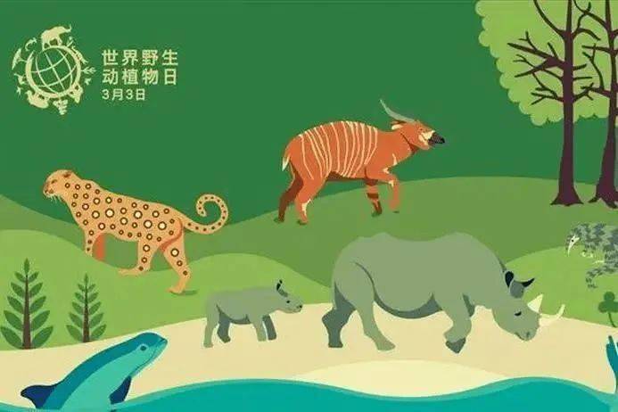 【课程视线】保护野生动物,我们在行动_动植物_人类_宣传