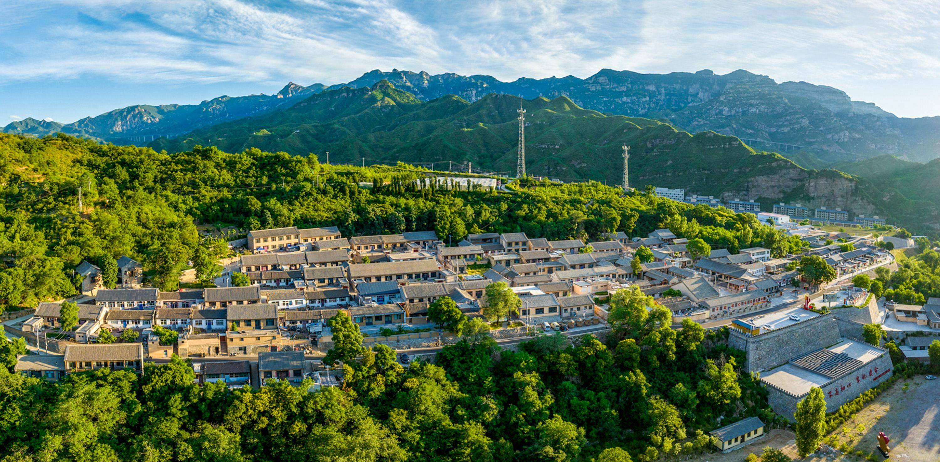 阜平顾家台村:老区变年轻振兴后劲儿足_锦成_年轻人_直播