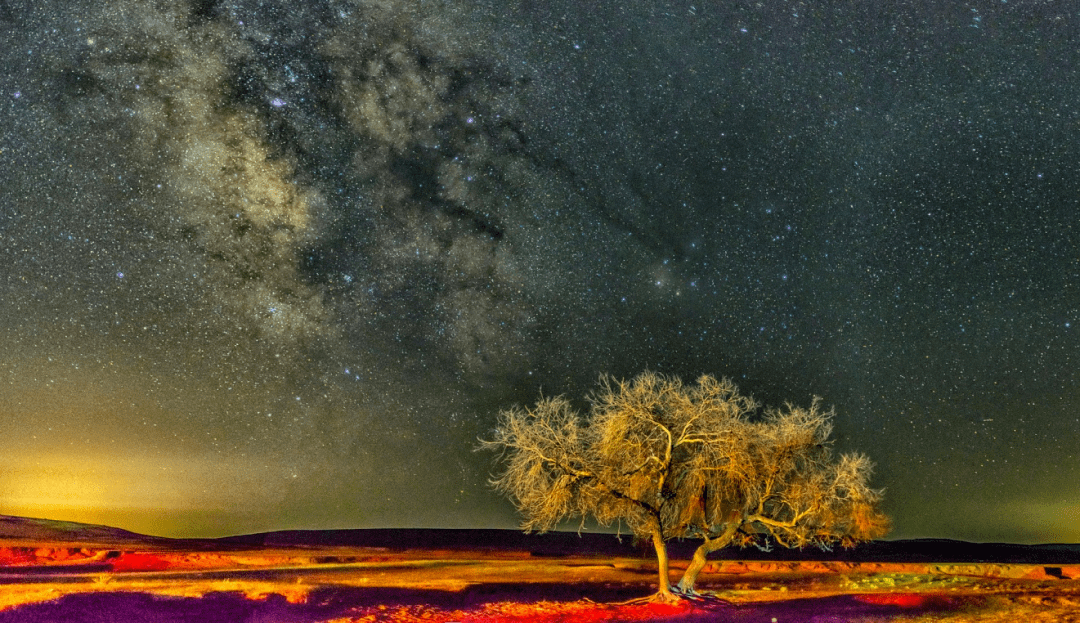 ��ͥ���� | ������ˡ������������Ŀ���֮����