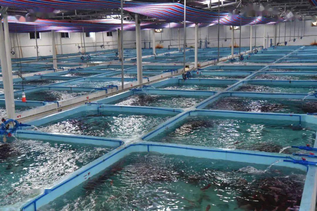 海南大学海洋学院水产养殖专业科研教学实验基地,万宁市鱼病检测中心