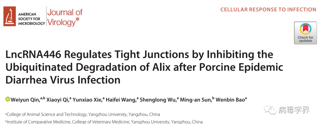 【前沿and进展】journal Of Virology∣扬州大学包文斌教授团队解析仔猪肠道屏障对流行性腹泻病毒引发损伤的修复机制 Lncrna