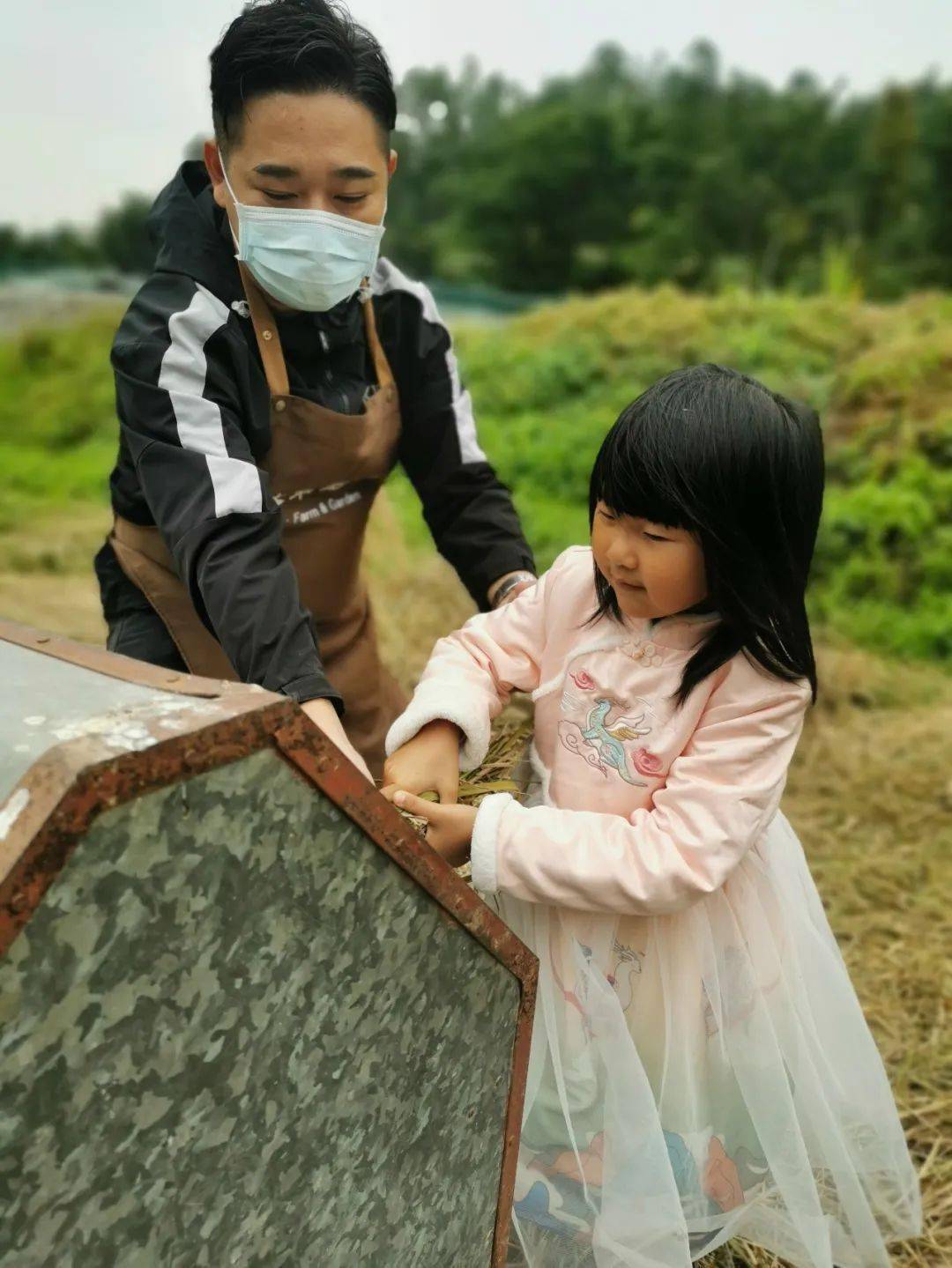 体验自己收割的稻谷自己打成稻子的过程.小朋友还喜欢抓泥鳅.