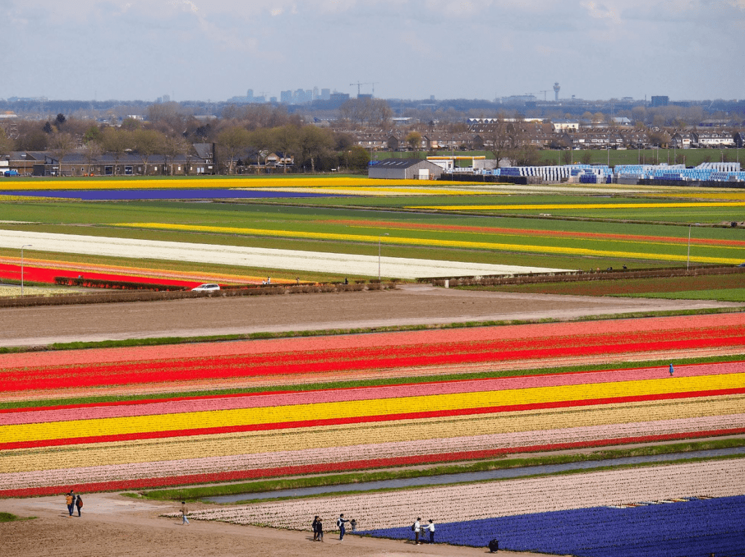 �����������Ŀ�ĵأ�������ϻ��򻨻ܹ�԰��