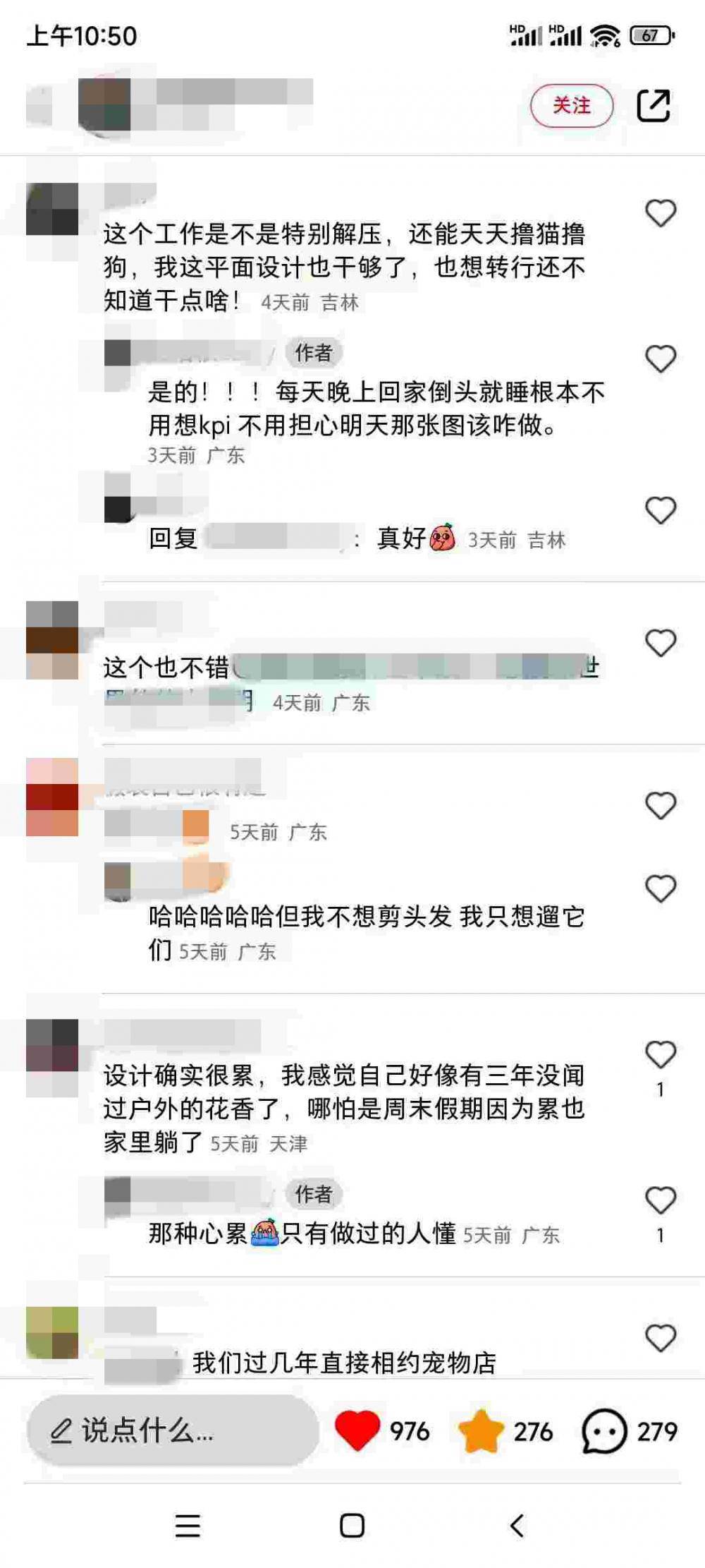 985高校女大学生裸辞深圳大公司：宁给宠物做美容，不肯“心累”搞设想