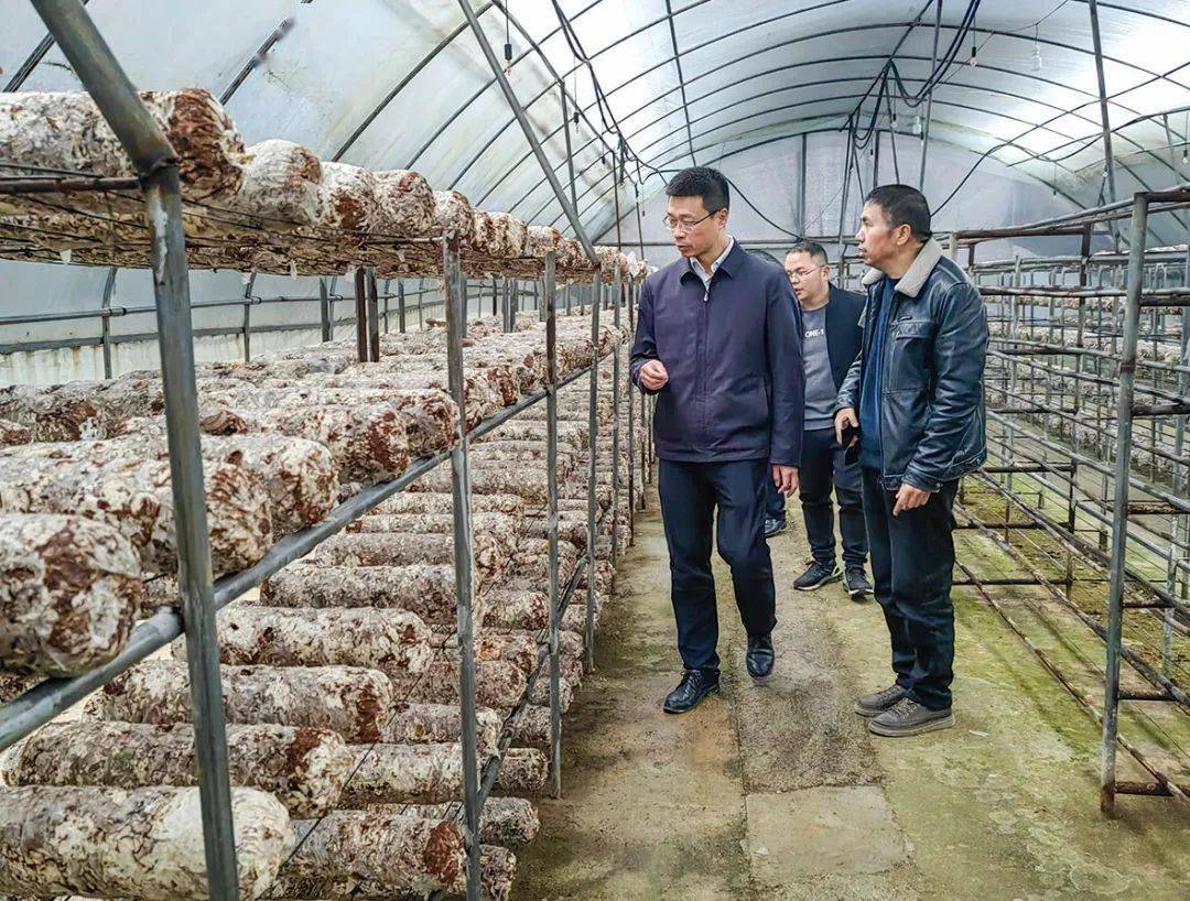 张红兵到铁厂镇,西坪镇调研