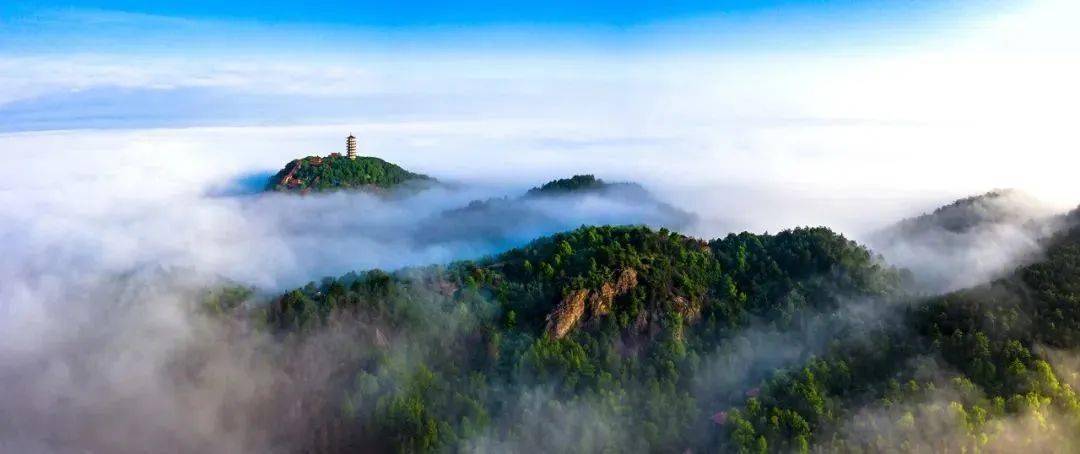 半价!黄石多个景区宣布_活动_门票_女性