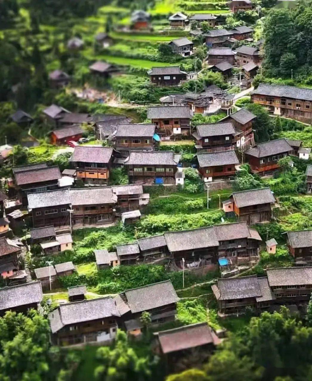 台江县红阳村图片