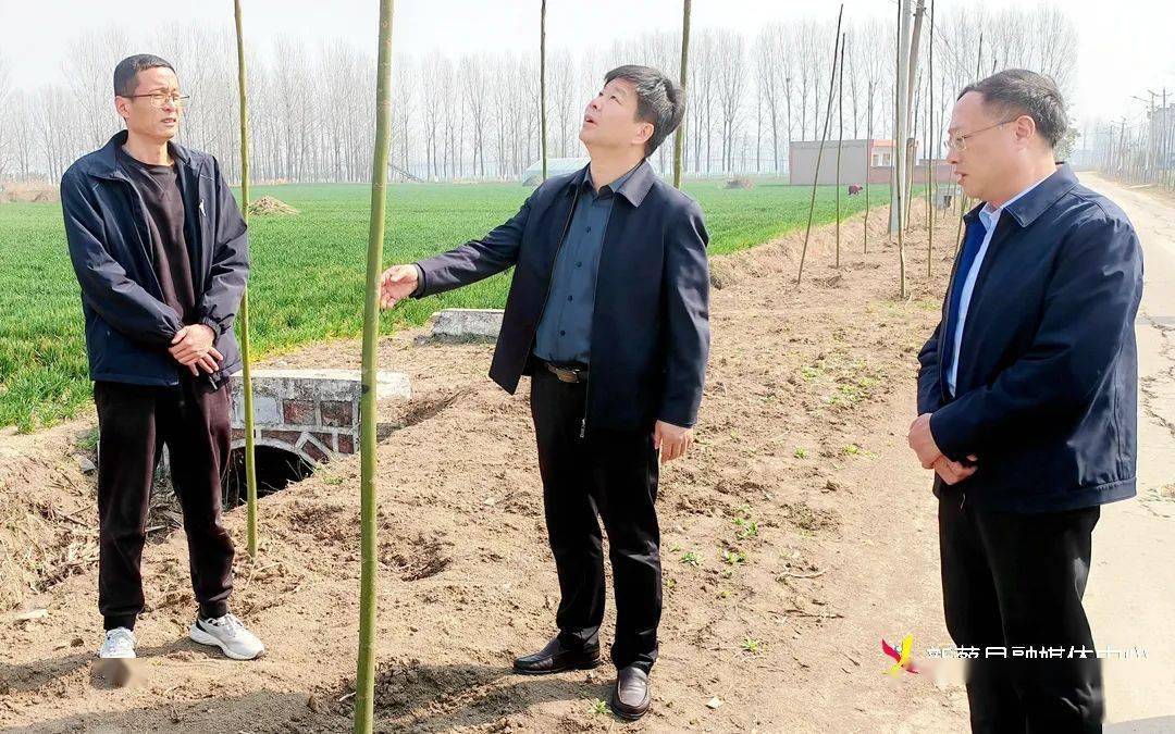 新蔡县委书记邵奉公到龙口等乡镇调研植树造林,"五星"支部创建等工作