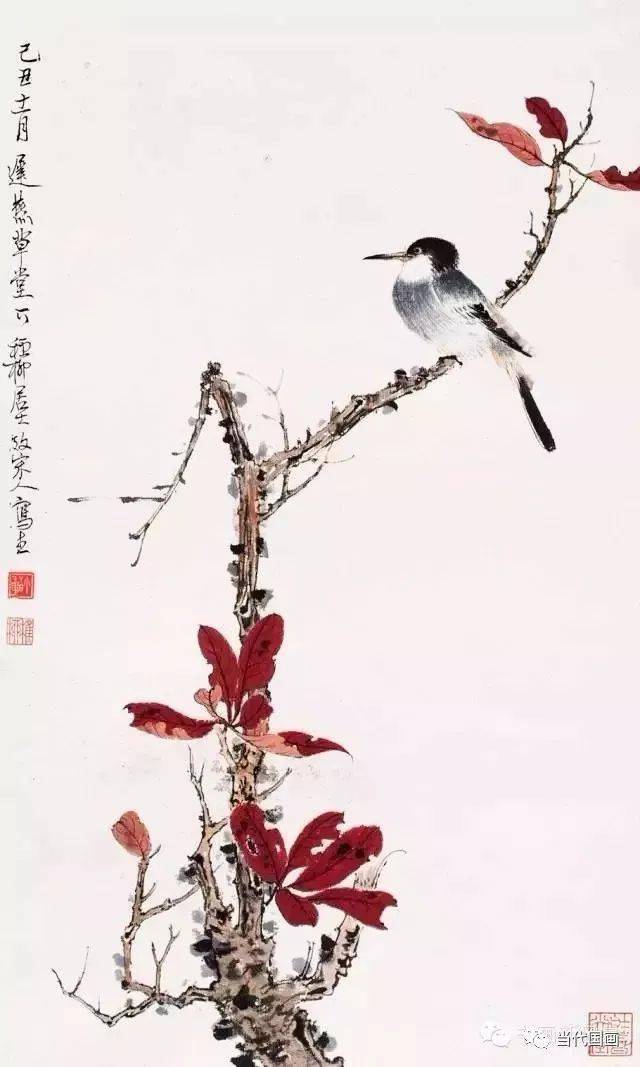 謝稚柳 赤葉花鳥 谢稚柳最漂亮的花鸟60副！