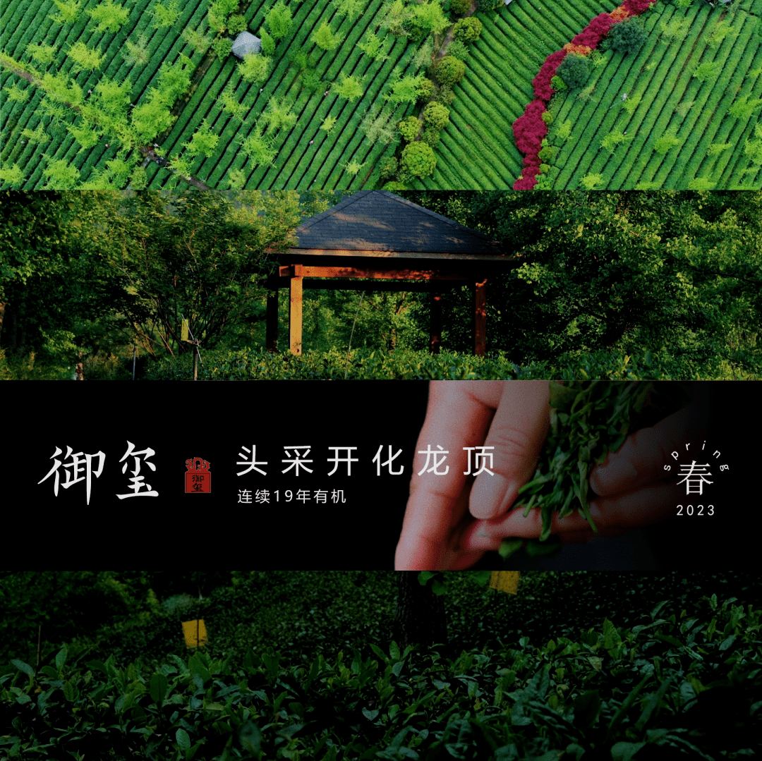 我在钱江源头有亩茶地丨认购专属茶园享30斤有机好茶，还有更多权益等你解锁！