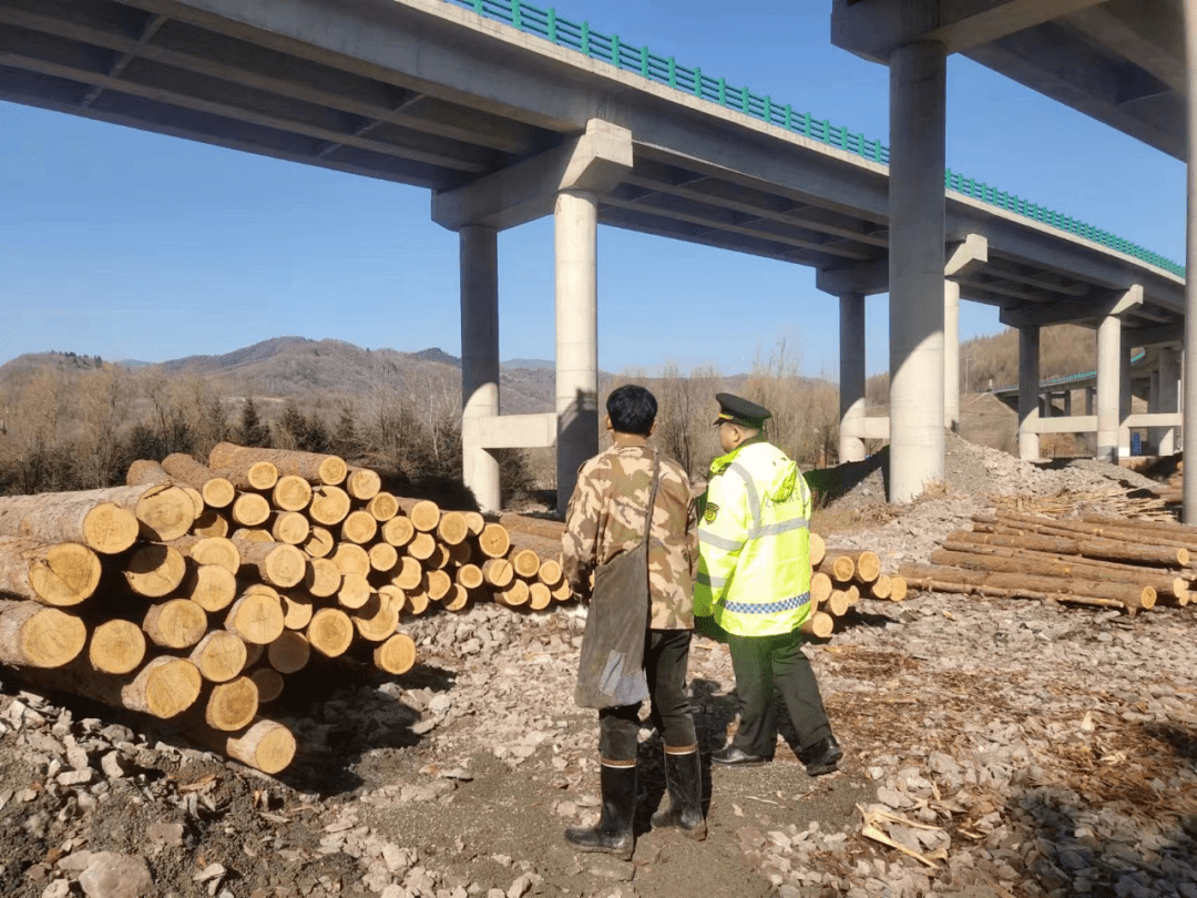 通化分局丨大力整治桥下空间 切实维护桥梁安全 高速公路 木材 执法人员