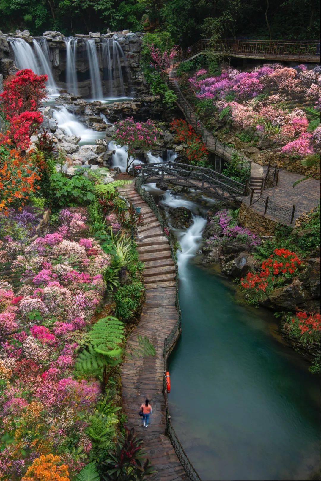 【3月12,15日出发,238元/人】十里花溪漫山艳,花海狂飙古龙峡:清远