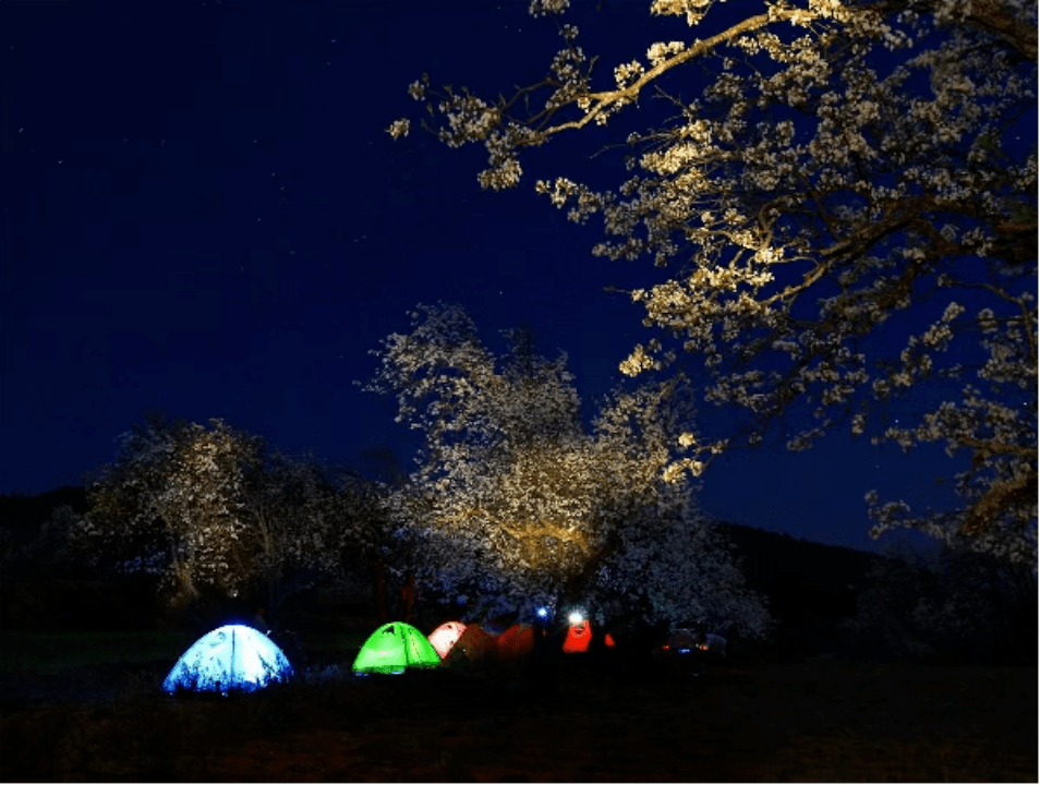 越早知道越好（平川非遗）平川特色美食小吃 第9张