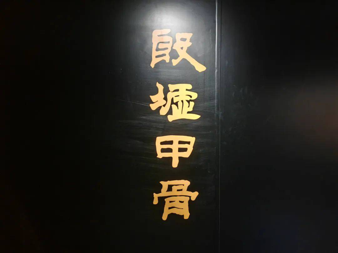 四方神？小九九？“四大发现”好玩的都在那里（上）|带你云逛展