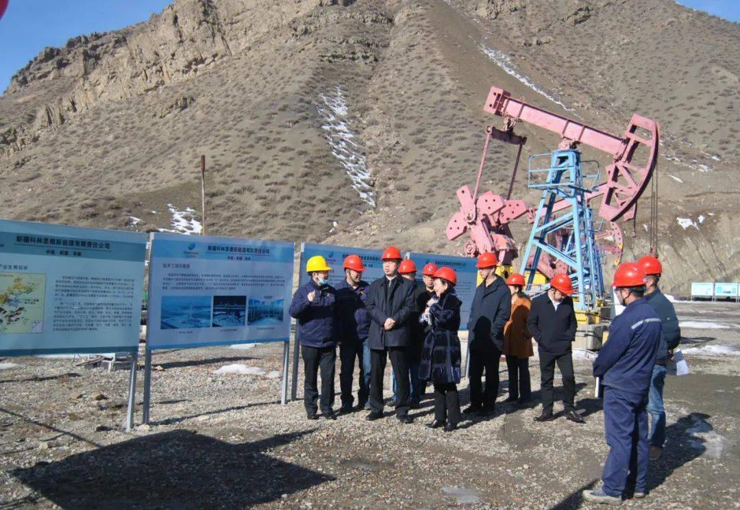 调研指导|自治区自然资源厅党组成员,副厅长张志先一行到科林思德调研