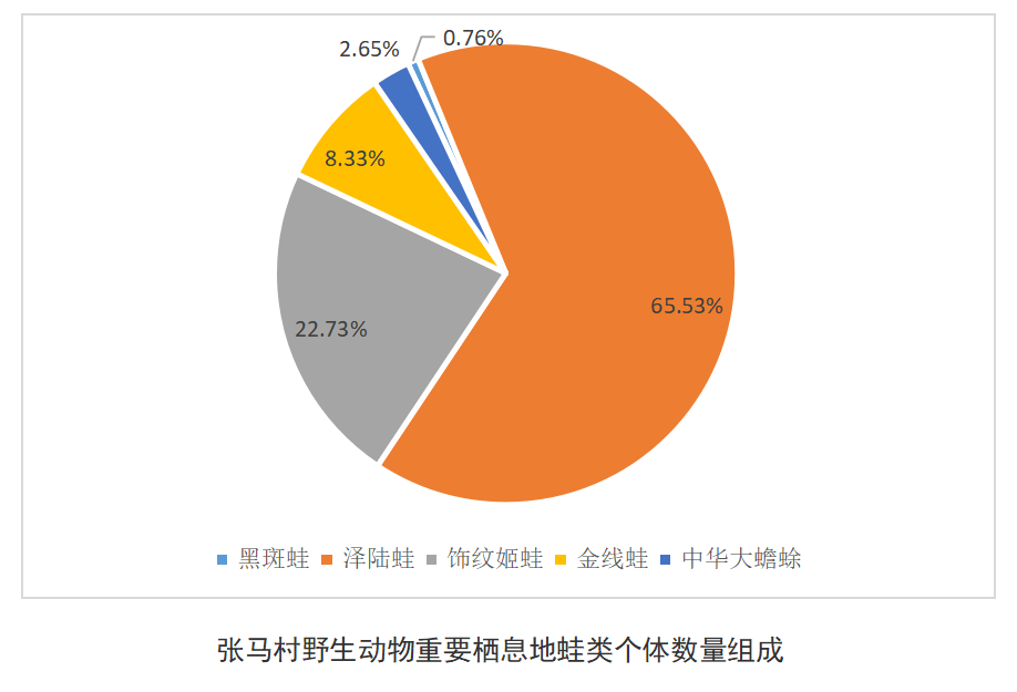 “呱声一片”正磨灭，上海蛙类锐减至6种，栖息地不是有水就行