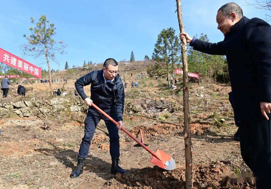 在全国第45个植树节即将到来之际,3月9日上午,县委副书记,县长杨通胜