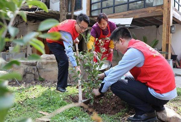 植树护林 “税务蓝”为渝添新绿