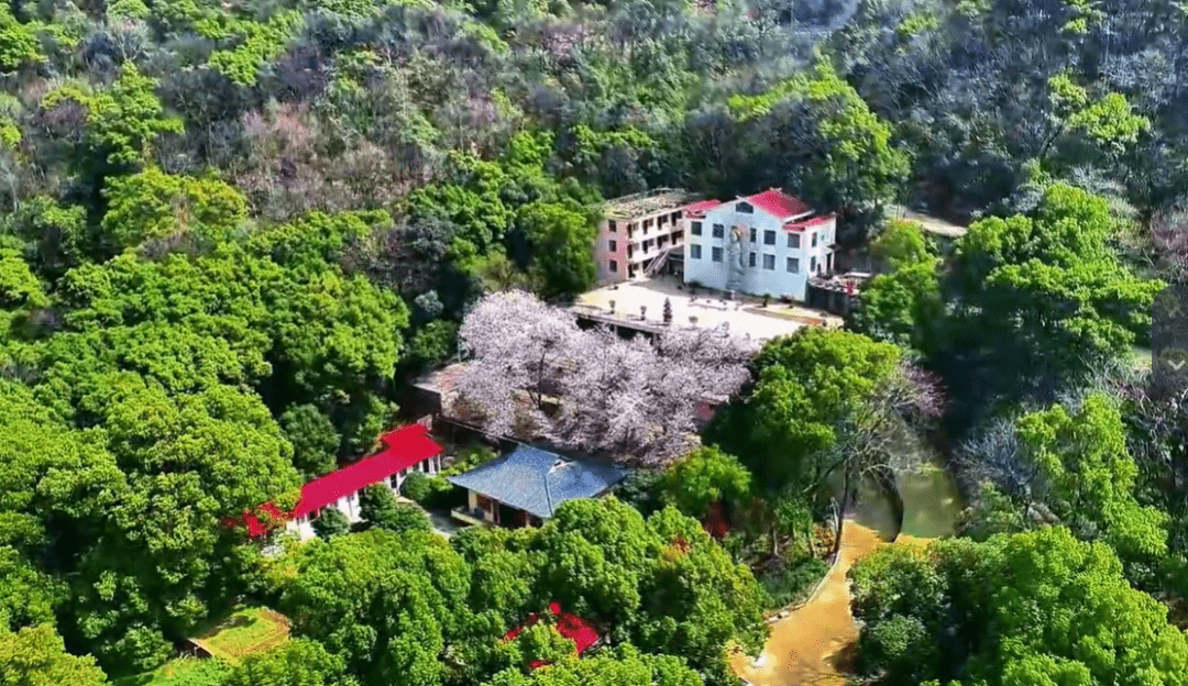 九江方竹寺具体位置图片