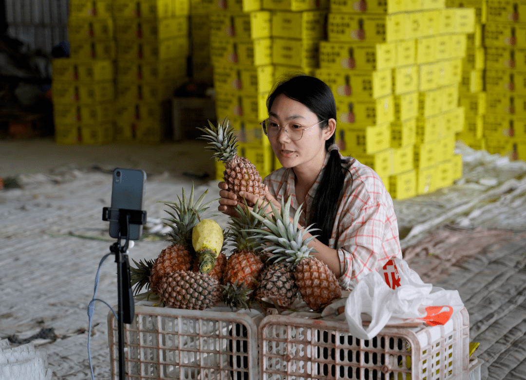 万宁打造网红直播带货团队 助力农产品上行增销_产业_创业_凤梨