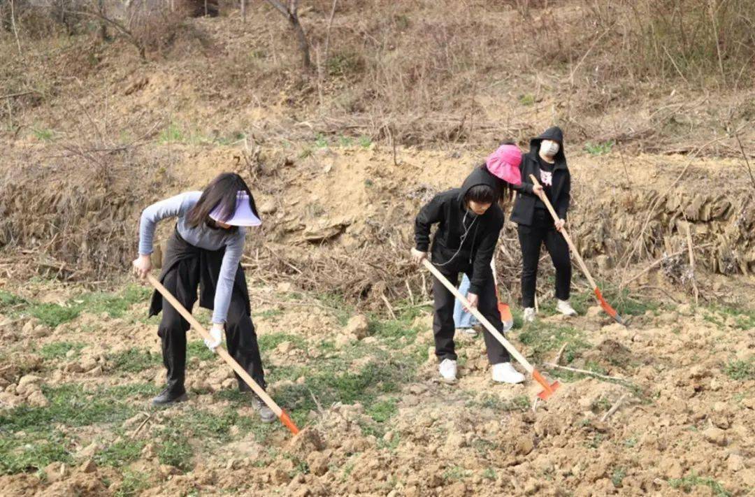 田间地头,山间厨房,千余名武汉大学生到京山上劳动课