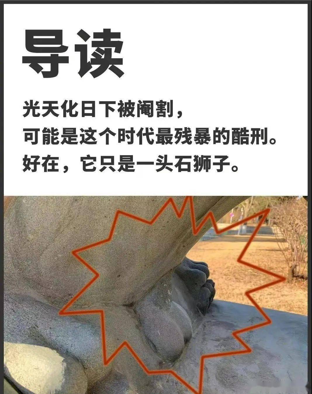 北大公石狮子的梗图片