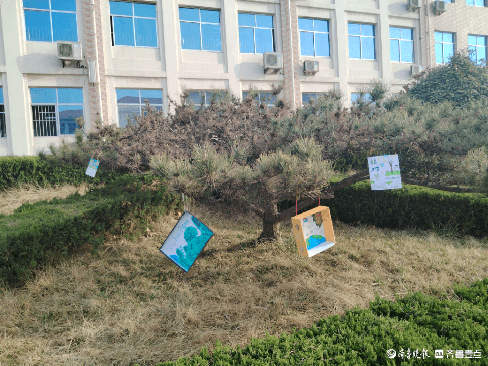 泰安省庄镇中心小学开展植树节主题活动