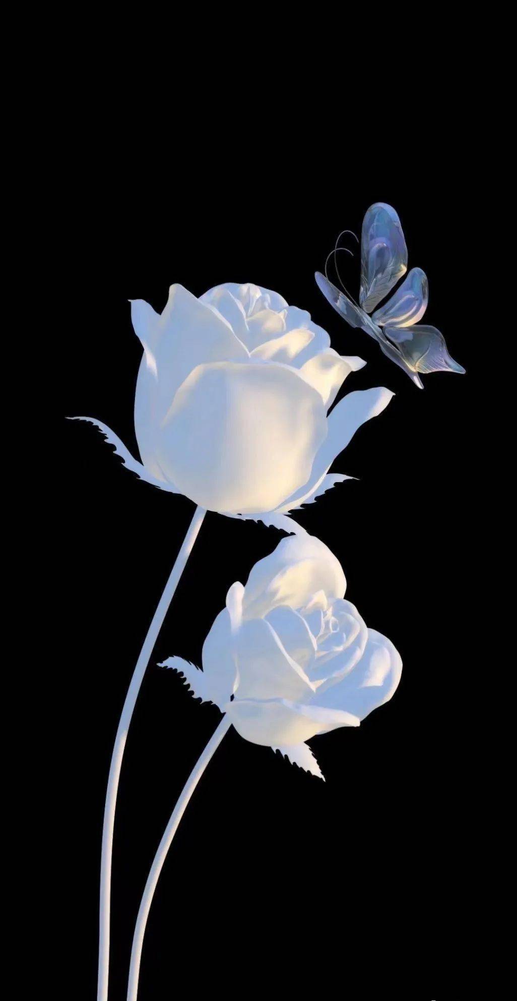 蝶飞花舞蝶如画 !醉了醉啦!_蝴蝶_教育部_翅膀