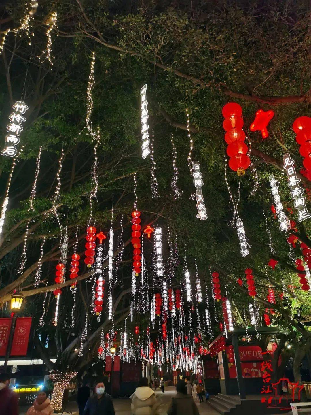 福州鲜花一条街(福州市鲜花批发市场)