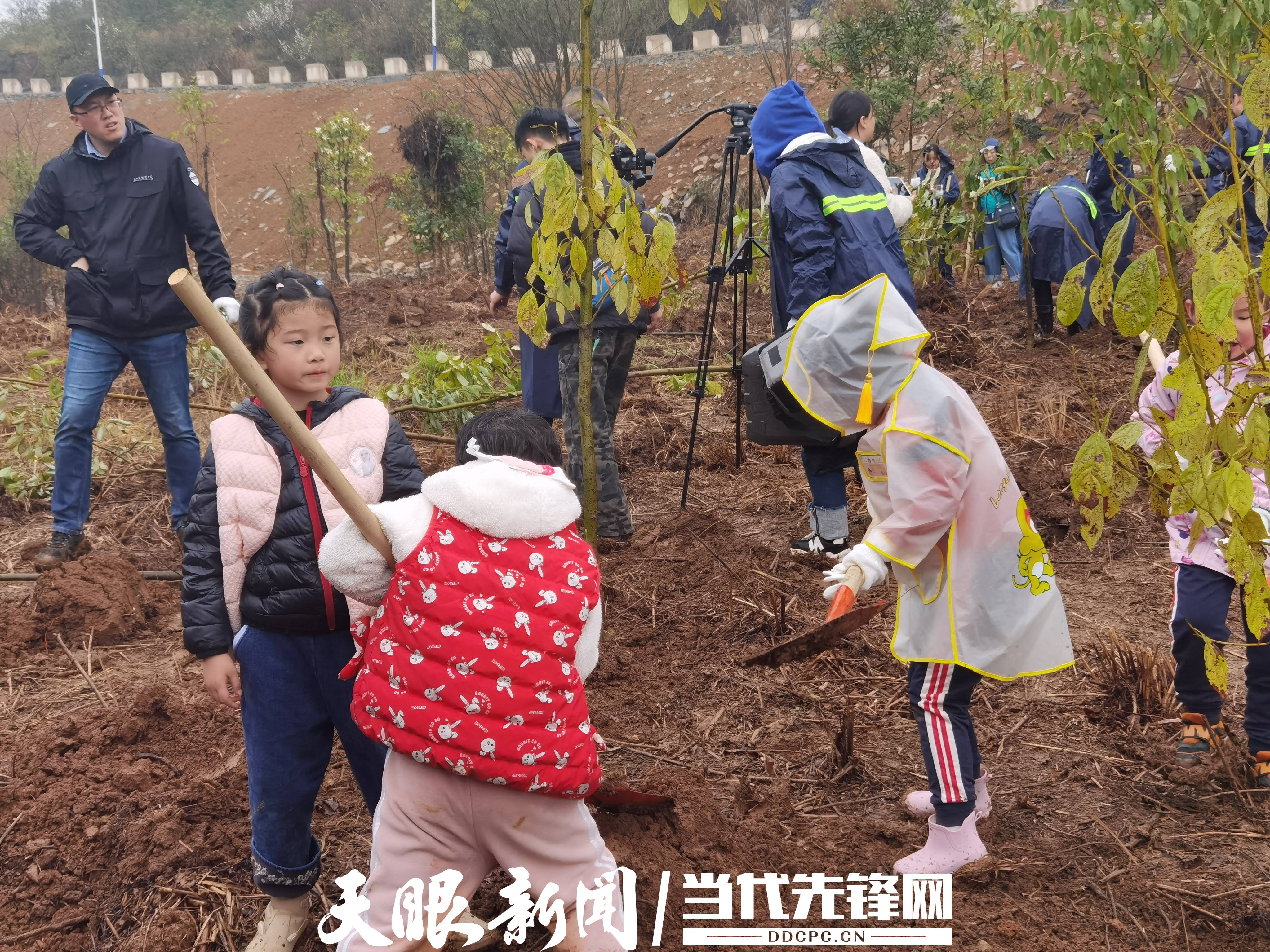 【第45个中国植树节】“植”此青绿，多彩贵州将来可期！