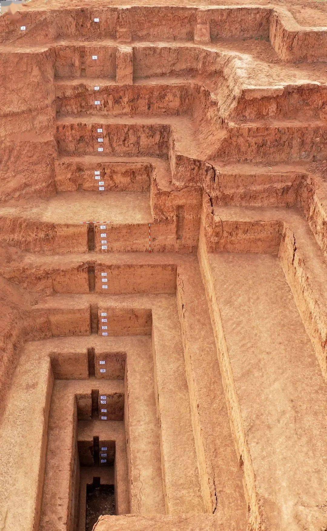 我国百万年以上的人类史_洛南县_遗址_盆地