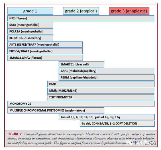 Neurosurgery | ­񾭲ѧٴ