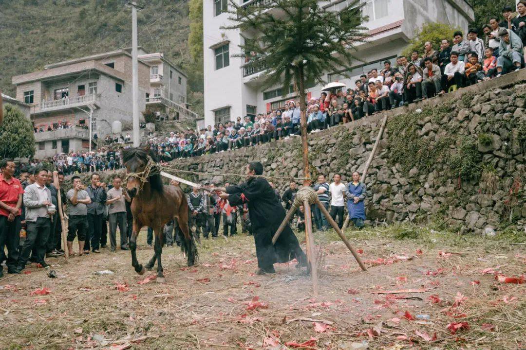 给死人烧的马图片图片