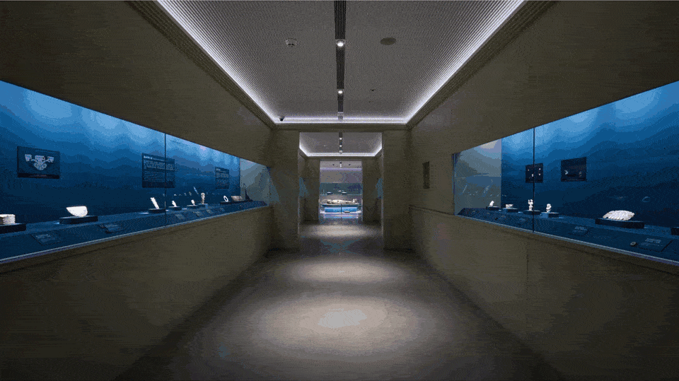 ���񼶽���ʦ����Ʒ�����Ϻ���Ȼ����ô�࣡