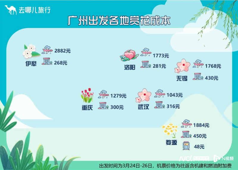 赏花目标地“卷”起来了，产物预订增3倍，清点各地赏花成本