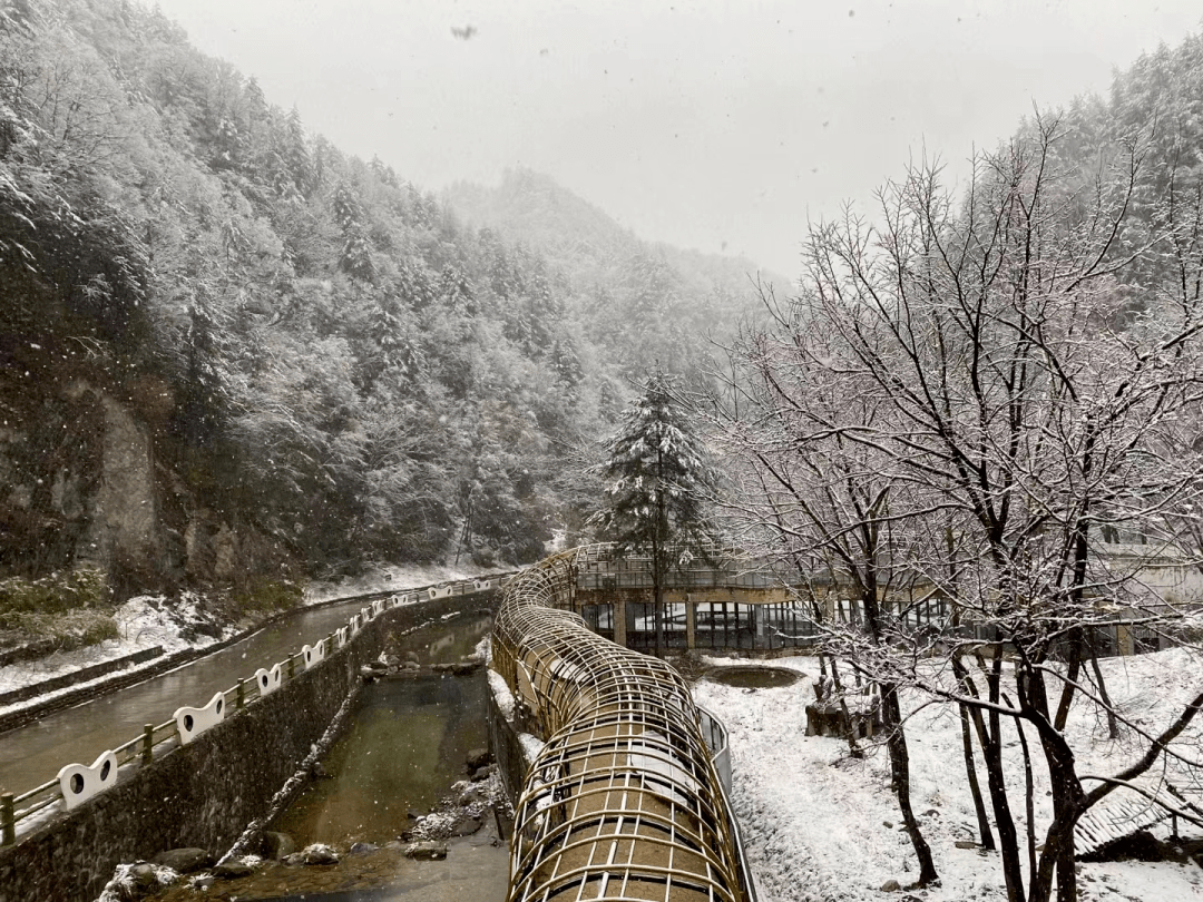 陕西连发预警！局地大到暴雪！最新预报来了