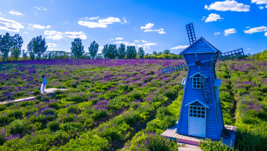 【奔阜而来】阜新春季旅游推广活动全面启动