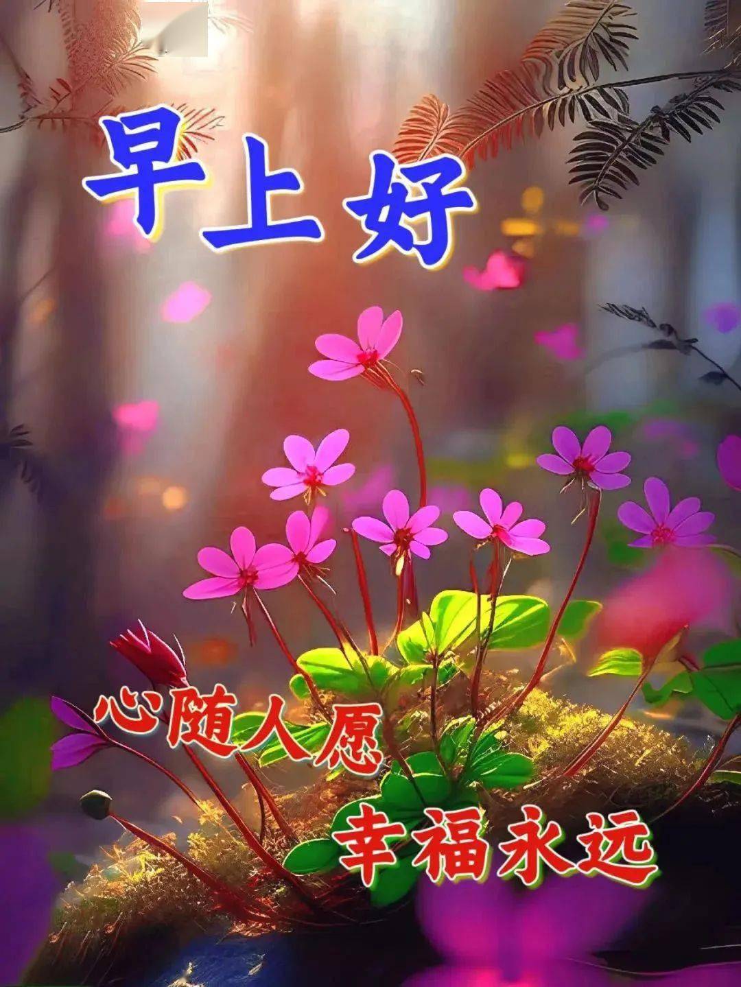 微信唯美早上好的问候语祝福图片_短信_鸟儿_心情
