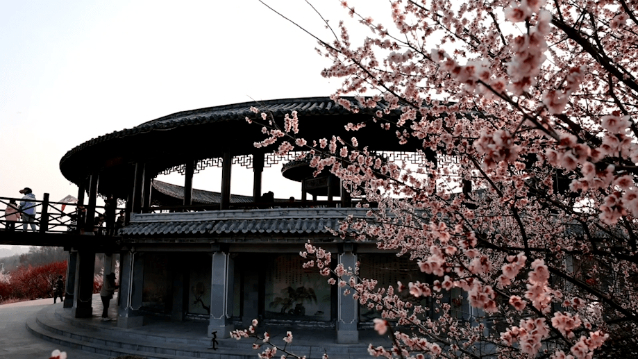 山南梅园停车指南来啦_淮南_安徽省_乡村旅游