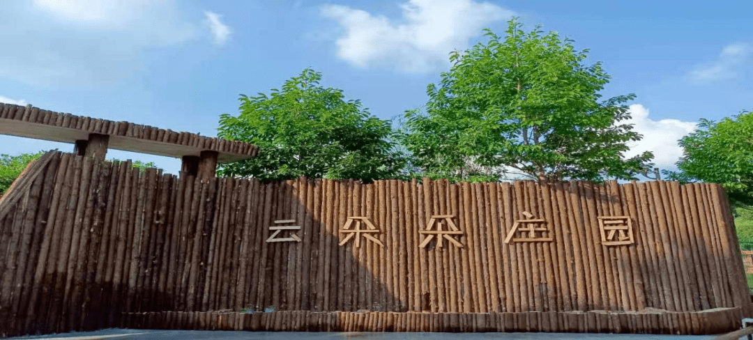 一见钟情在雨花︱悠游雨花·春之约——开往雨花春天的列车动身了！