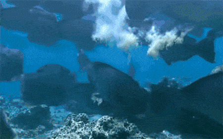 ��֪��������������ϸ��ɳ̲����ʵ���㡾��㡿��