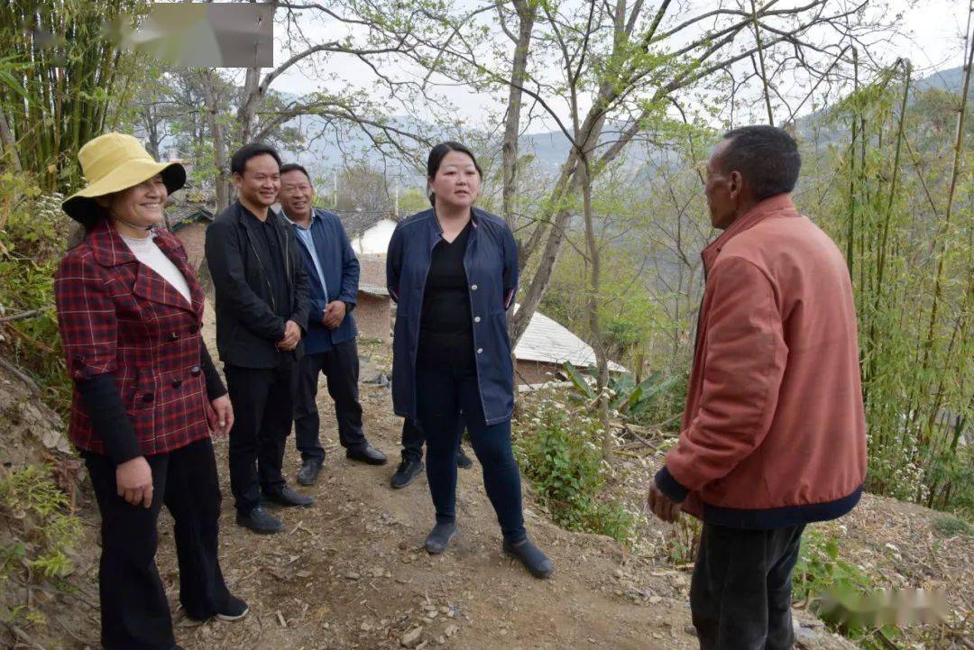 在宝华镇小铁窑村委会玉碗水村,施文妍详细了解了项目概况.