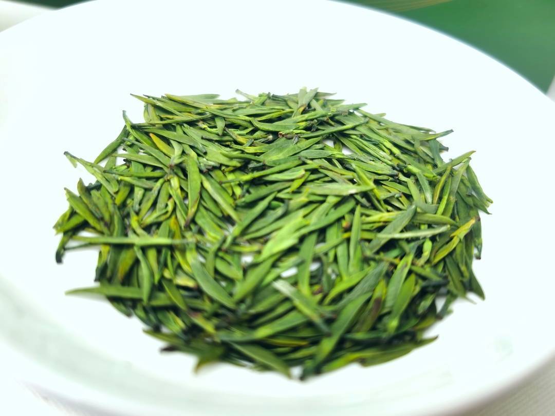 "屏山炒青"抱团走上茶产业高质量发展之路|向上的力量_茶叶_活动_茶园