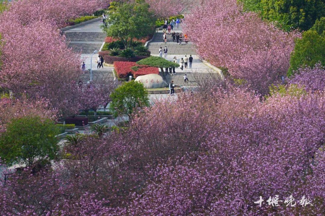 十堰那所大学官宣！今起，开启